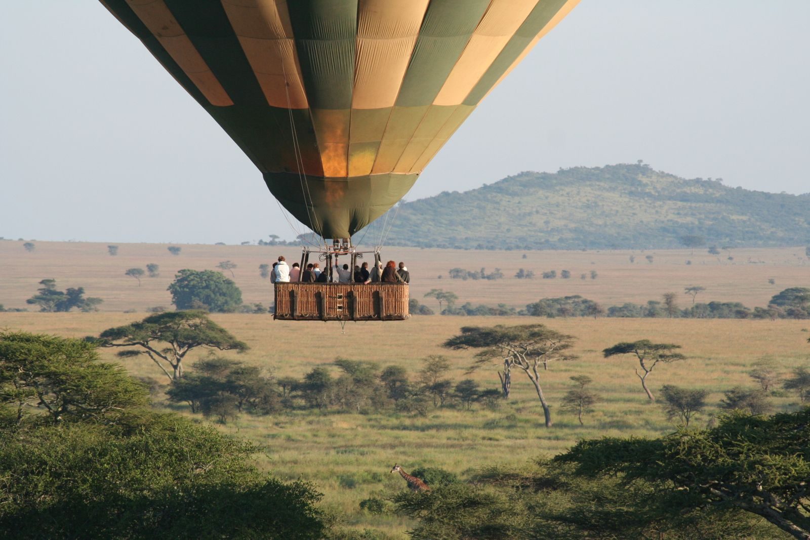 6 tips voor als je op safari door Afrika gaat