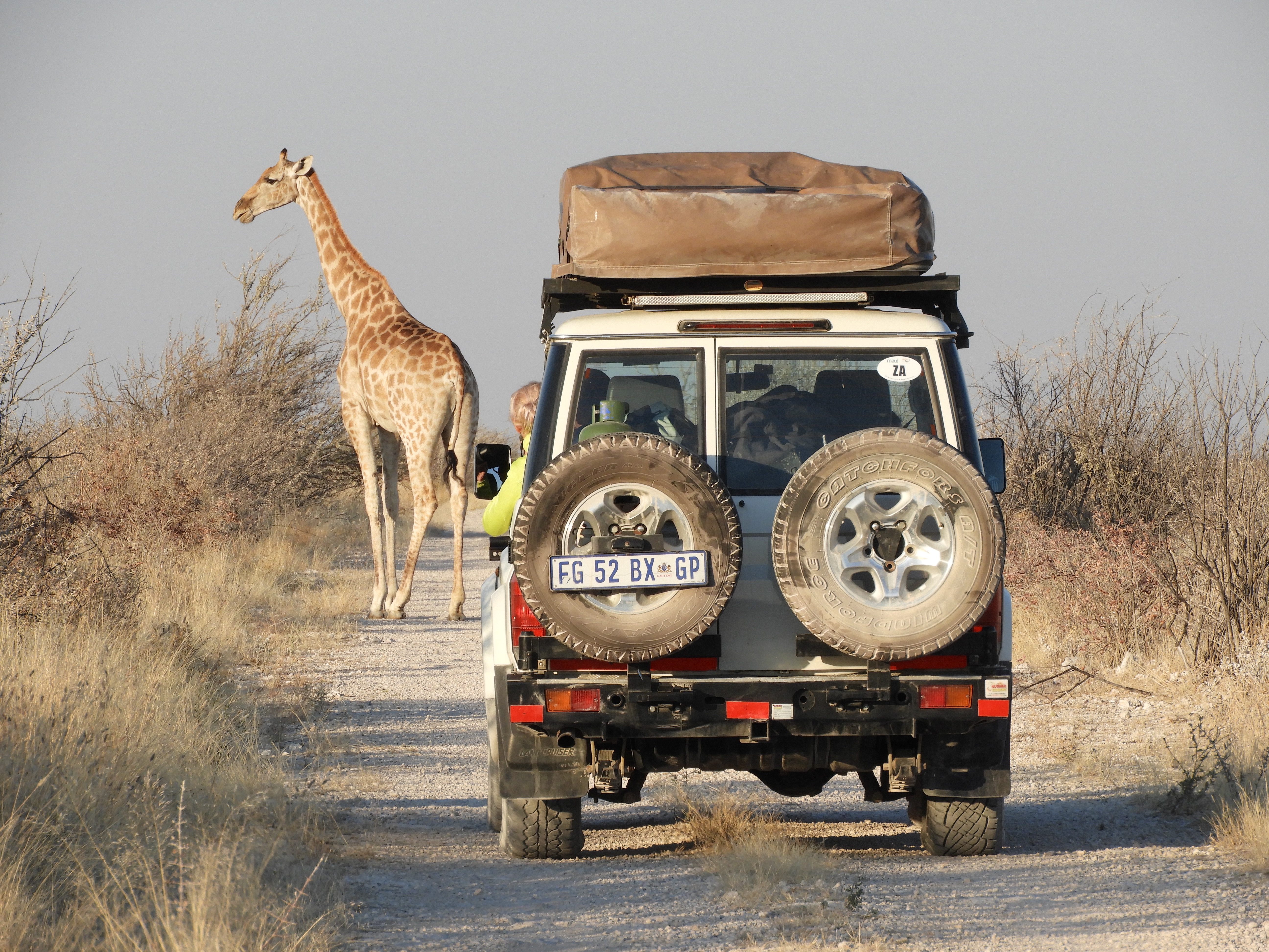 6x een 4WD self drive reis door zuidelijk Afrika