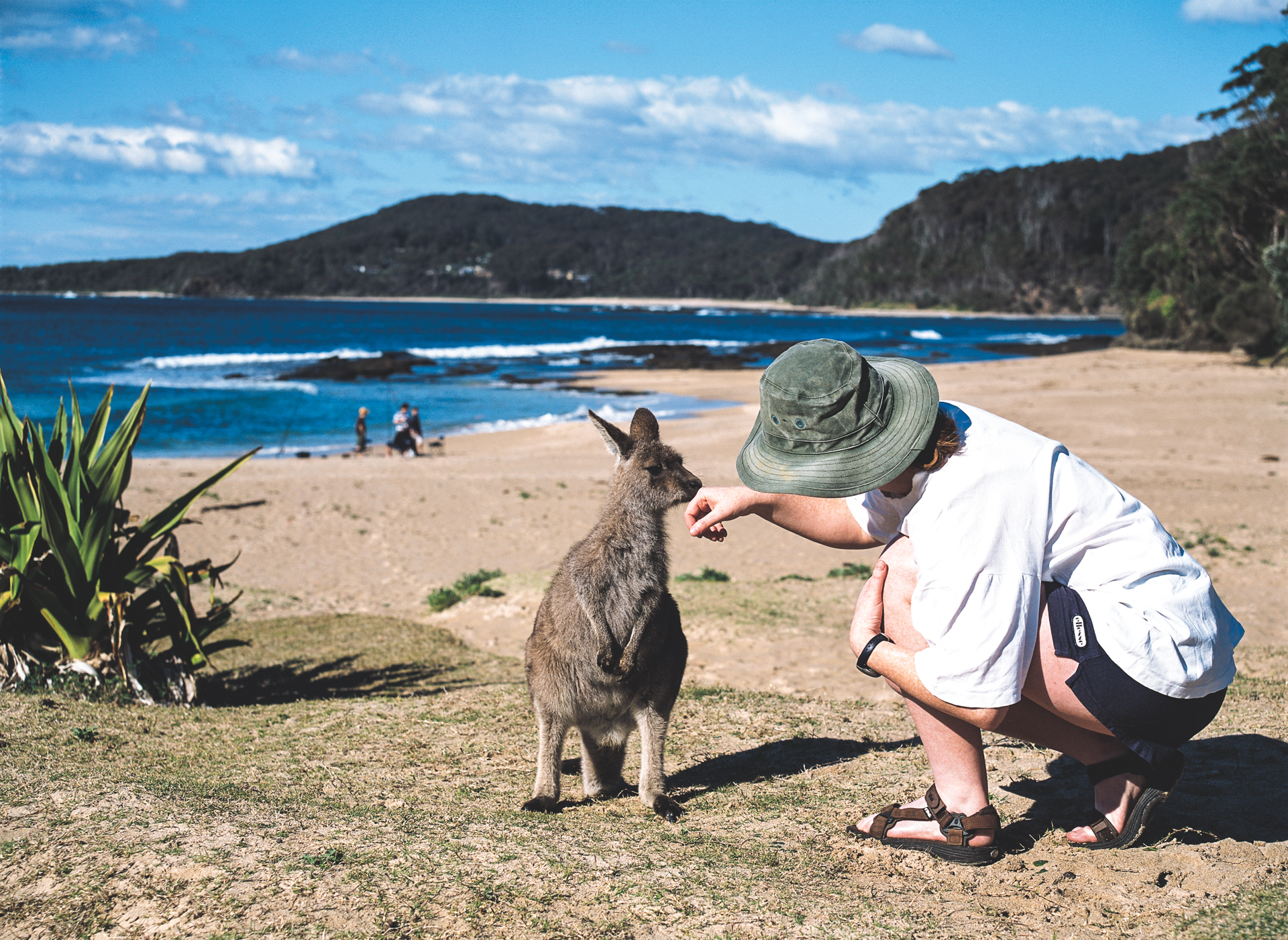 Treinreis Australië